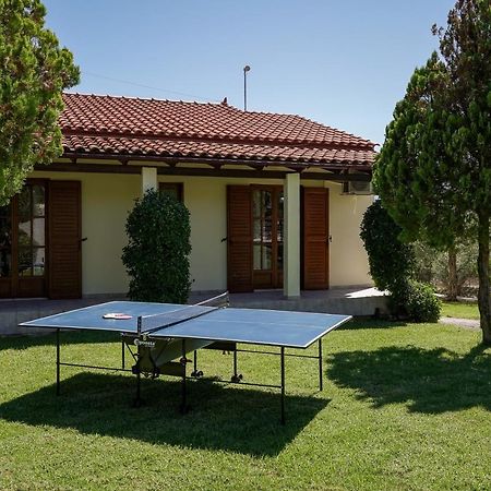 Lefkothea Villas With Large Pool, Bbq & Playground 아델리아노스 캄포스 외부 사진