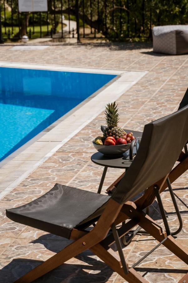 Lefkothea Villas With Large Pool, Bbq & Playground 아델리아노스 캄포스 외부 사진